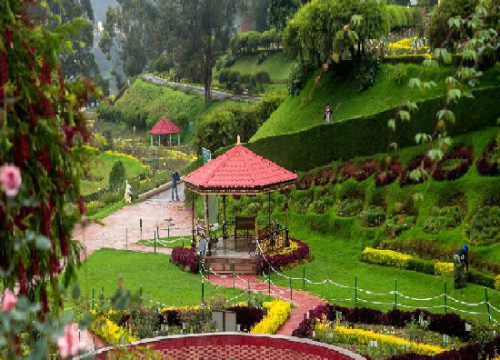 Mysore to Ooty 1 Day Tour Package