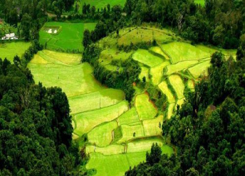 Mysore to Coorg 1 Day Tour Package
