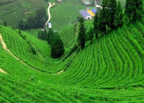 Mysore Ooty Wayanad 5 Day Tour Package