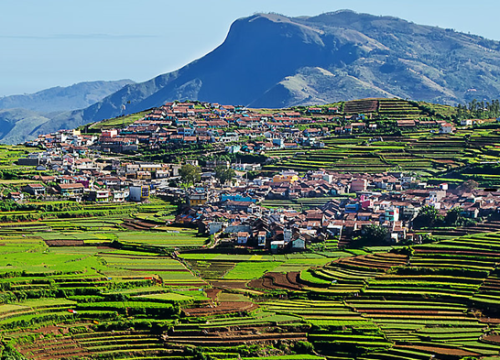 Mysore to Coimbtore Kodaikanal Palani 5 Day Tour Package
