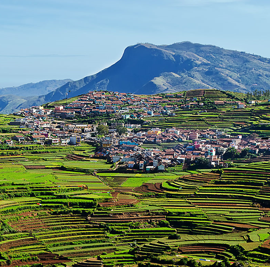 Mysore to Coimbtore Kodaikanal Palani 5 Day Tour Package